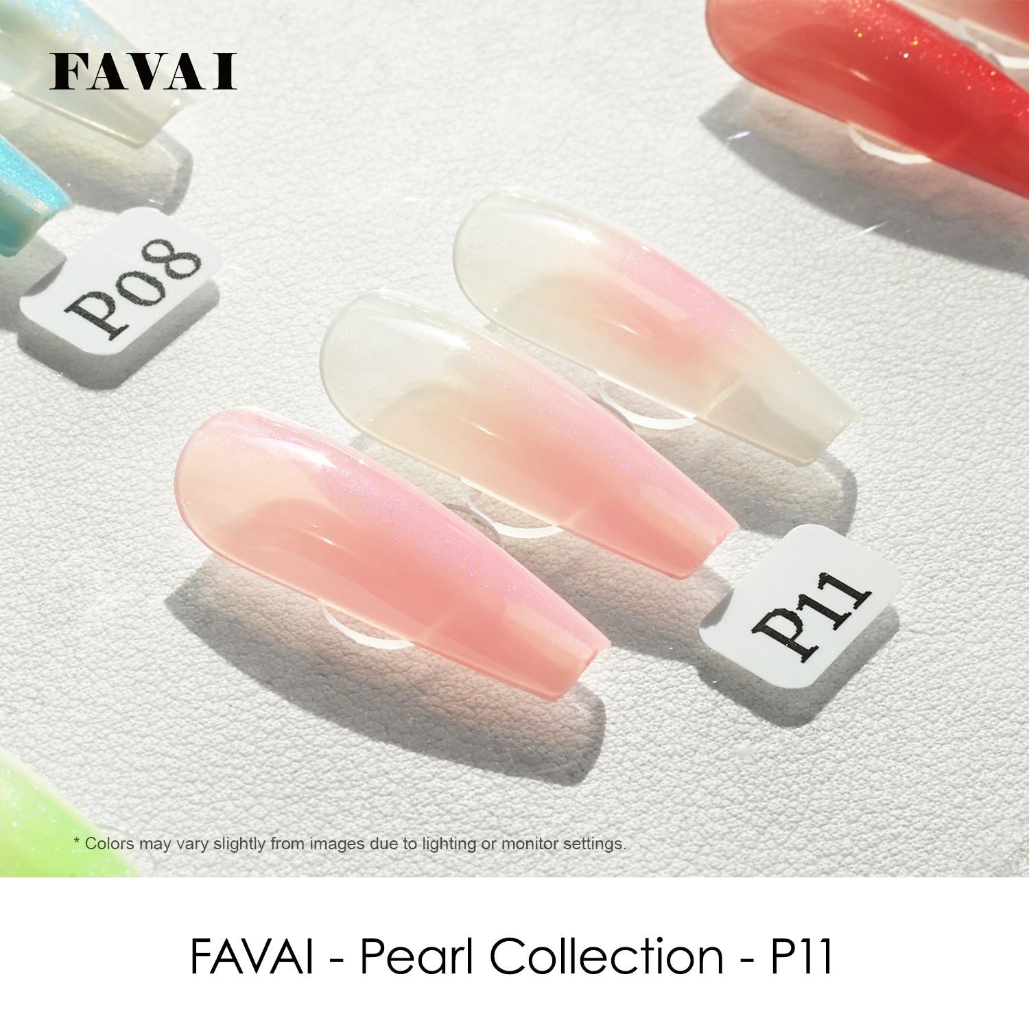 FAVAI カスタム 12色見本カード